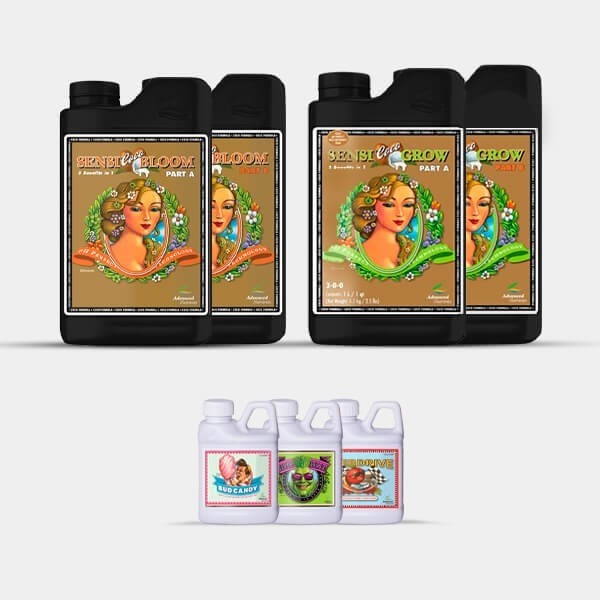 AN Simple Pack Sensi Coco