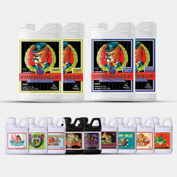 AN Professional Pack Connoisseur