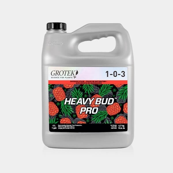 Heavy Bud Pro 4