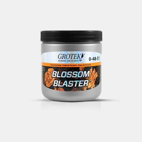 Blossom Blaster 500
