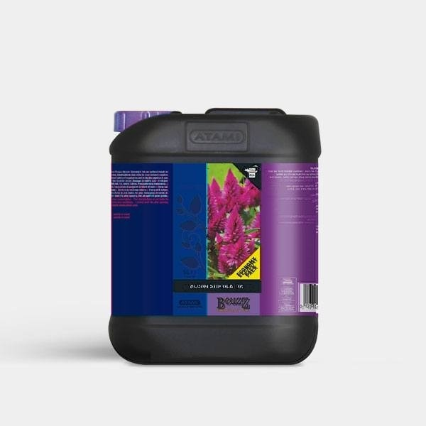 Blossom Builder Liquid 5L