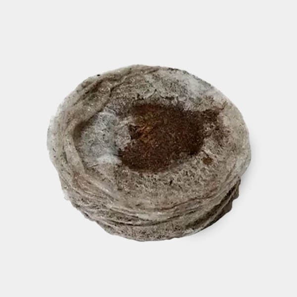 View Jiffy7 de Turba 33mm