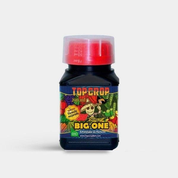 Big One - Top Crop 250ml