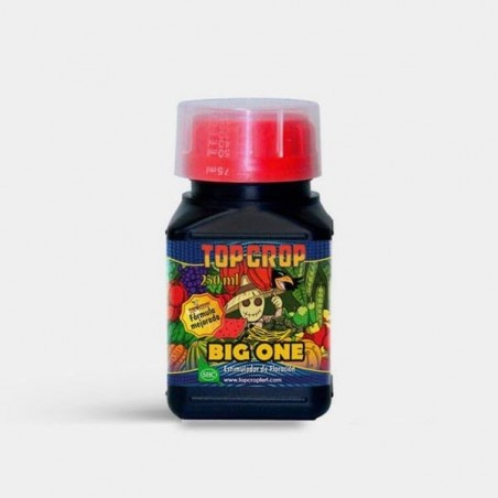 Big One - Top Crop 250ml