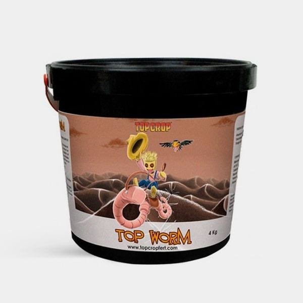 View Top Worm