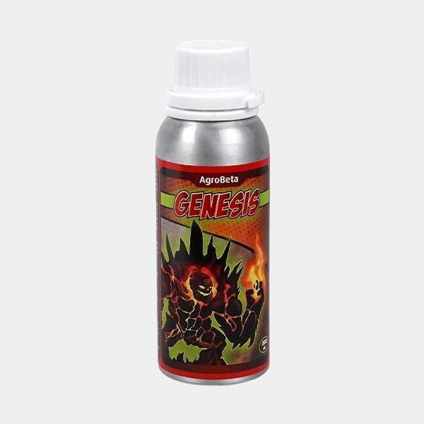 Genesis 600