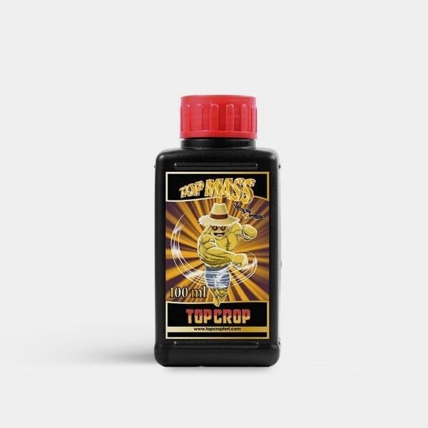 View Top Mass 100ml