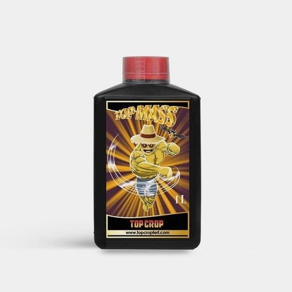 Top Mass 1L