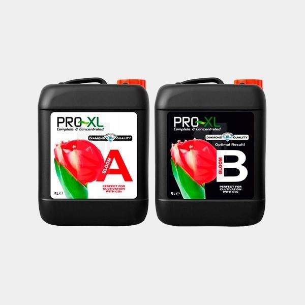 Bloom A+B 5L