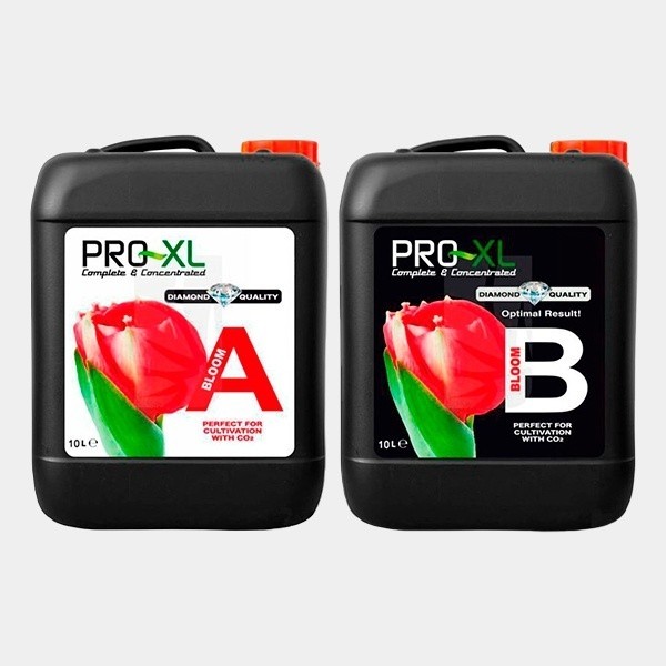 Bloom A+B 10L
