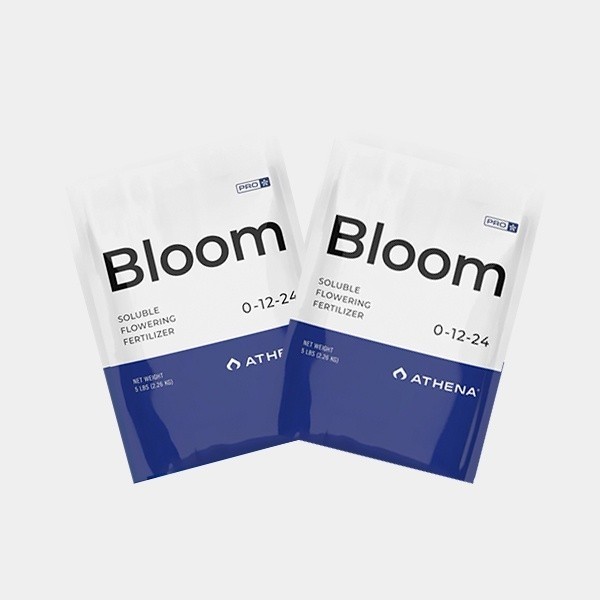 View Athena Pro Bloom