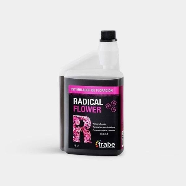 View Radical Flower