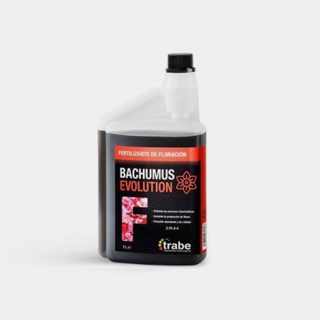Bachumus Evolution F (Floración)