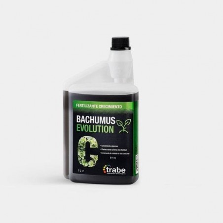 Bachumus Evolution C (Crecimiento)