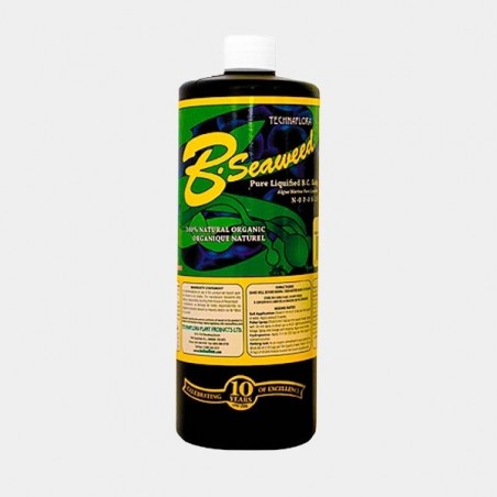 B. Seaweed 500g