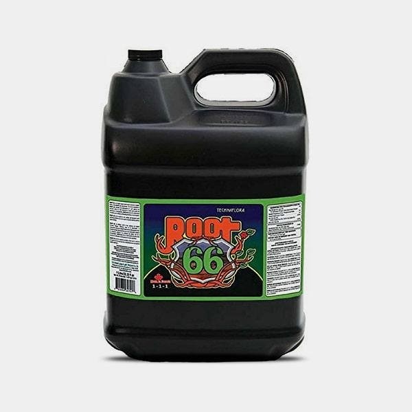 Root 66 10L