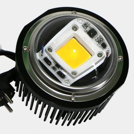 LED TX COB DOB Burbuja