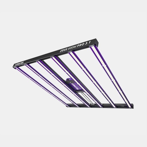 View LED Zeus 600W Pro 3.1 Lumatek