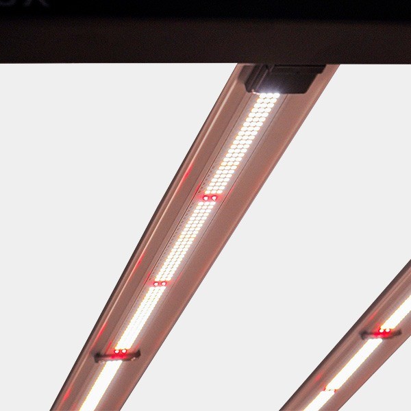 Sistema LED Galaxy Solux 630W detalle led