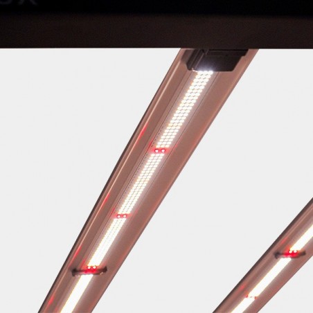 Sistema LED Galaxy Solux 630W detalle led