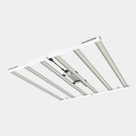 Sistema LED D720W Ignator Hero | The Green Brand