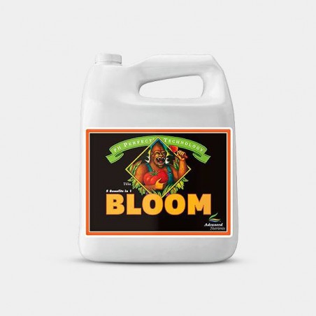 Bloom Ph Perfect formato grande