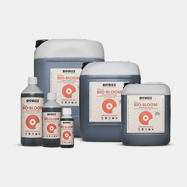 Bio Bloom grupo