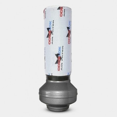Filtro Antiolor Odor-Sok