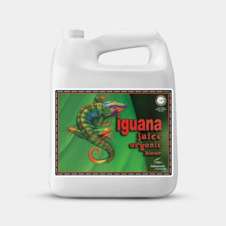 Organic Iguana Juice Bloom formato grande