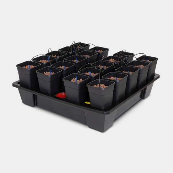 Wilma XXL 20 completo 6L