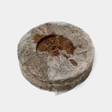Jiffy7 de Turba 29mm unidad