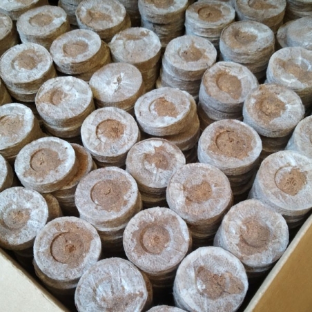 Jiffy7 de Turba 29mm caja