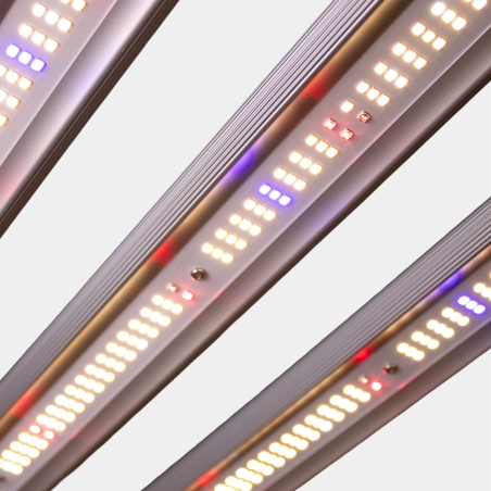 Sistema Led Regulable 300w Black Ultra GB Lighting | The Green Brand