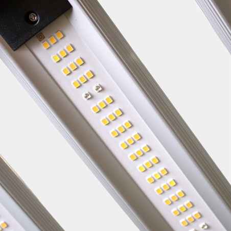Sistema LED Regulable 730W Black Ultra GB Lighting | The Green Brand