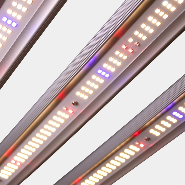 Sistema LED Regulable 730W Black Ultra GB Lighting | The Green Brand